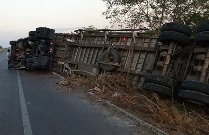 Vuelca tráiler cargado de pollos