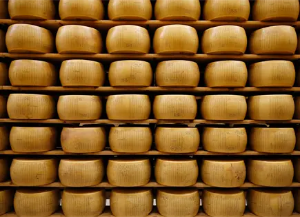 Banco de queso en Italia confirma estabilidad ante ola de calor Banco de queso en Italia confirma estabilidad ante ola de calor