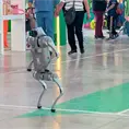 "De adorno" perros robot de la Fenapo "De adorno" perros robot de la Fenapo
