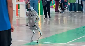 "De adorno" perros robot de la Fenapo