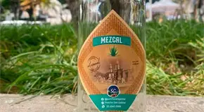 Insuficientes, reformas a la Ley del Mezcal