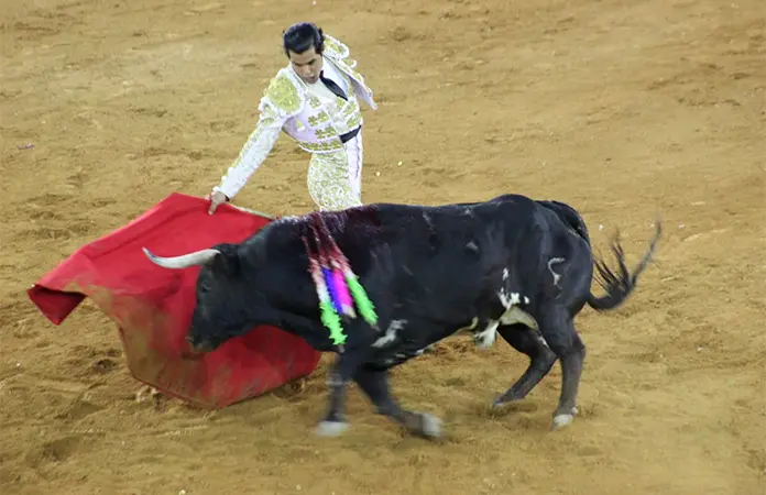 Diego San Román conquista la noche