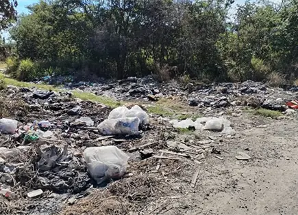Identifica Ecología basureros clandestinos Identifica Ecología basureros clandestinos