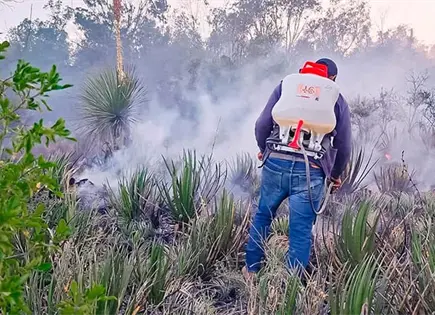 PC sofoca incendio en la comunidad Buena Vista PC sofoca incendio en la comunidad Buena Vista
