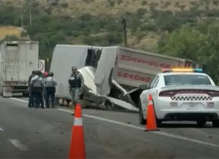 Vuelca tr&aacute;iler con ganado en carretera 57 (video)