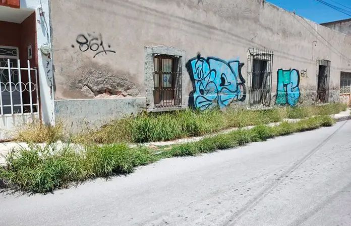 Banquetas de la ciudad están llenas de maleza
