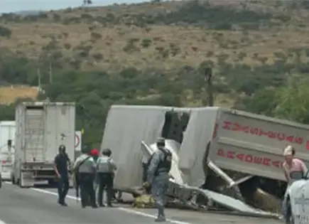 Vuelca tráiler ganadero en la carretera a México Vuelca tráiler ganadero en la carretera a México