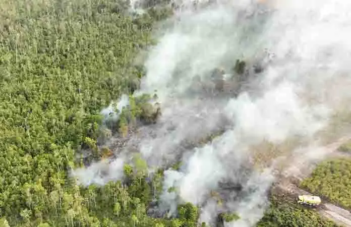 En Indonesia arrestan a 72 por los incendios