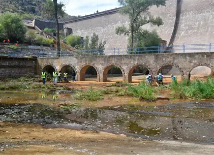 Ganado afecta &aacute;reas naturales en Presa San Jos&eacute;