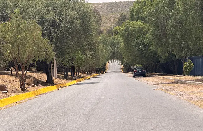 Reportan vandalismo de vacas en San José