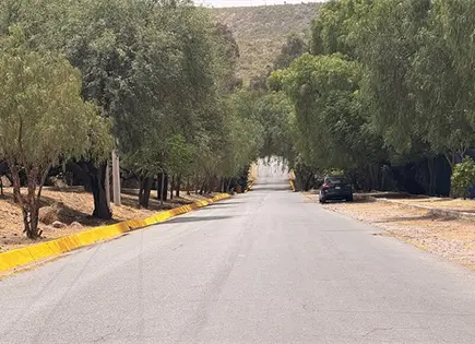 Reportan vandalismo de vacas en San Jos&eacute;