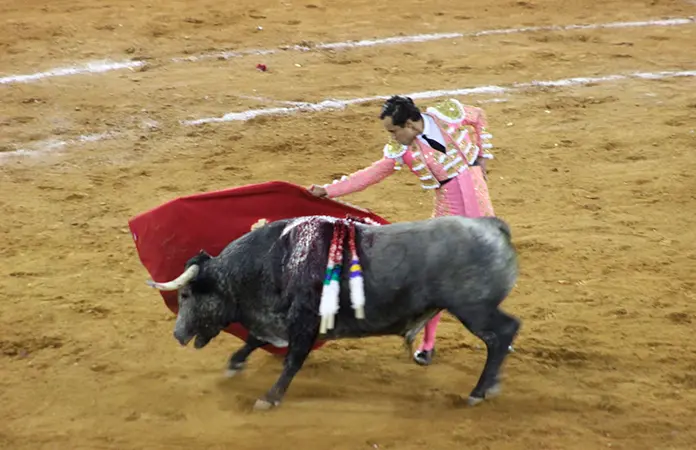 Rotundo triunfo de Leo Valadez