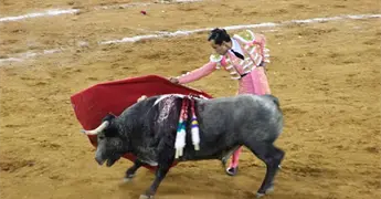 Rotundo triunfo de Leo Valadez