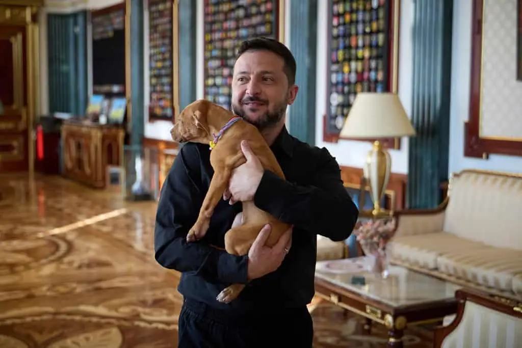 Zelenskyy recibe cachorro Freya, símbolo de resiliencia ucraniana