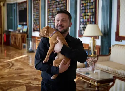Zelenskyy recibe cachorro Freya, símbolo de resiliencia ucraniana Zelenskyy recibe cachorro Freya, símbolo de resiliencia ucraniana