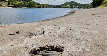 Declaran desastre por sequ&iacute;a en P. Rico