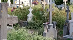 Urge limpieza en panteón Hidalgo
