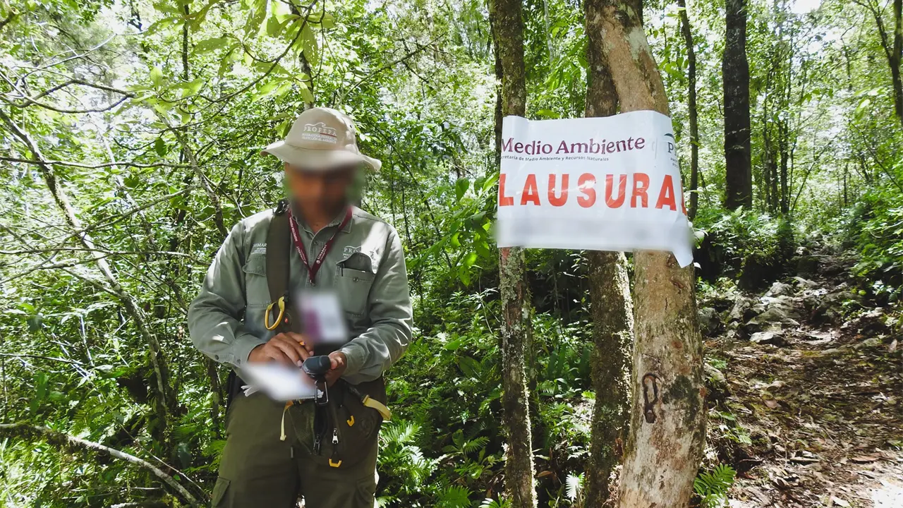 Foto: Profepa