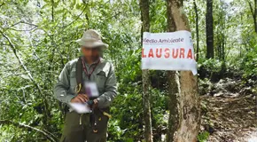 Detecta Profepa tala ilegal en Xilitla y Santa Catarina; hace clausuras Detecta Profepa tala ilegal en Xilitla y Santa Catarina; hace clausuras