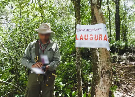 Detecta Profepa tala ilegal en Xilitla y Santa Catarina; hace clausuras Detecta Profepa tala ilegal en Xilitla y Santa Catarina; hace clausuras