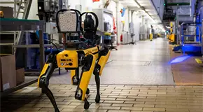 ICE alista perros robot para sus operativos migratorios ICE alista perros robot para sus operativos migratorios