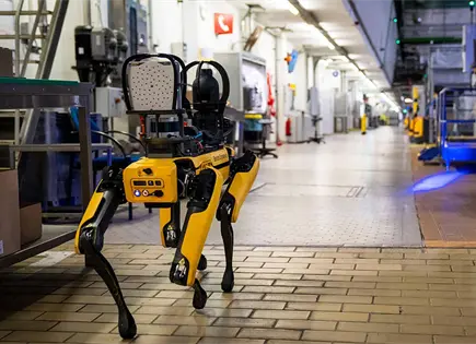 ICE alista perros robot para sus operativos migratorios ICE alista perros robot para sus operativos migratorios
