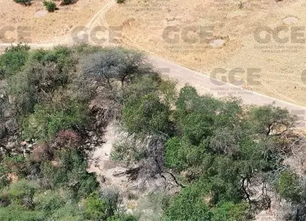 Catean y aseguran narcolaboratorios en Santa María Catean y aseguran narcolaboratorios en Santa María