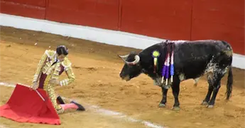 Animalistas obtienen suspensi&oacute;n provisional de corridas de toros