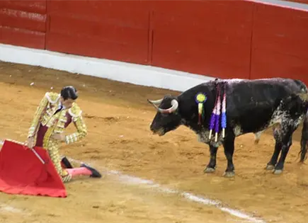Animalistas obtienen suspensión provisional de corridas de toros Animalistas obtienen suspensión provisional de corridas de toros