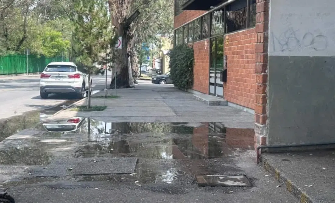 Foto: Cortesía