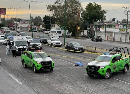 Video | Arrollan y matan a una joven en carretera a Rioverde