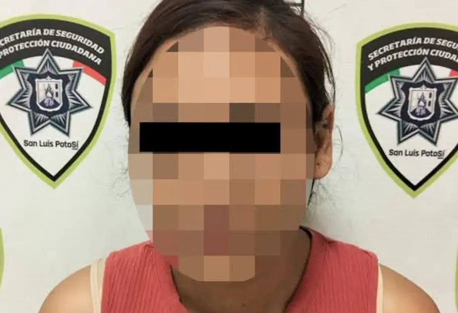 Detienen a mujer por violencia familiar en El Sauzalito