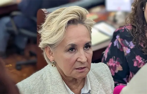 Llegan primero los funerales que las medicinas, dice Frinn&eacute; Azuara
