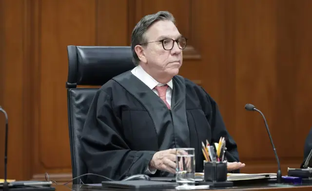 Nueva reforma judicial, una aspirina frente a cáncer terminal
