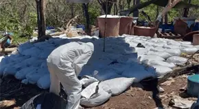 Decomisan casi 17 toneladas de metanfetamina en Sinaloa