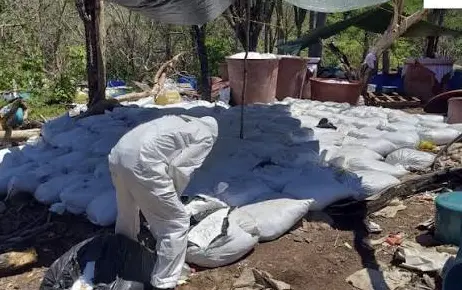 Decomisan casi 17 toneladas de metanfetamina en Sinaloa Decomisan casi 17 toneladas de metanfetamina en Sinaloa