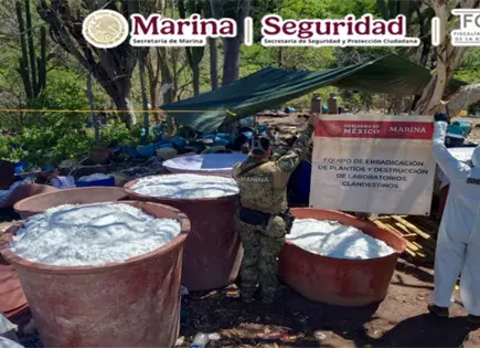 Marina inhabilita tres narcolaboratorios ligados a Los Chapitos en Sinaloa