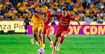 En duelo de urgidos, los Tigres enfrentan a los Rayos