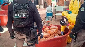 Procesan a nueve detenidos por narcolaboratorio
