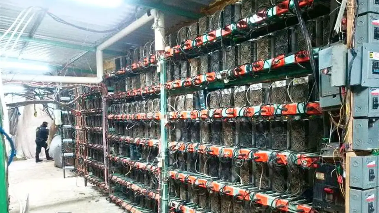 Fiscalía y Marina localizan centro de criptomonedas en Sierra Norte
