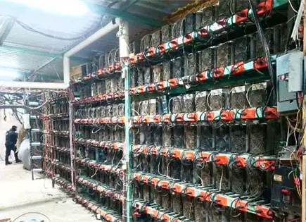 Fiscalía y Marina localizan centro de criptomonedas en Sierra Norte Fiscalía y Marina localizan centro de criptomonedas en Sierra Norte