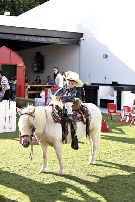 imagen carrusel
