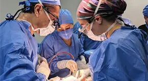 Existe en SLP, déficit en donación de órganos Existe en SLP, déficit en donación de órganos