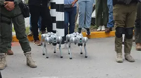 Perros robot apoyan en vigilancia de SLP