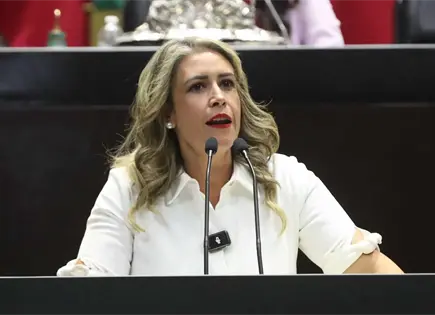 Proponen padrón nacional para vigilar promesas de campaña