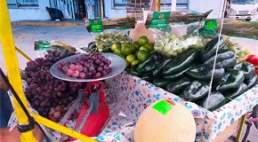 Rafael Rebolloso recorre las calles vendiendo frutas