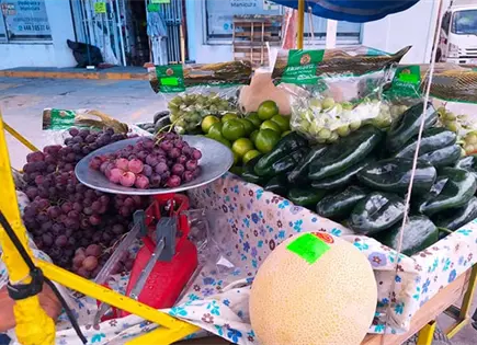 Rafael Rebolloso recorre las calles vendiendo frutas Rafael Rebolloso recorre las calles vendiendo frutas