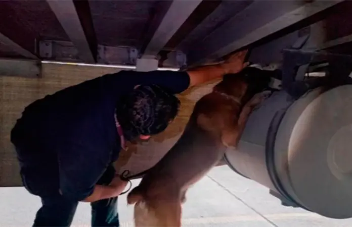 Agencia Nacional de Aduanas asegura 76 kilos de cocaína en Tijuana