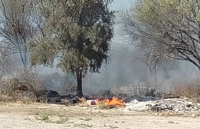 Bomberos controlan incendio en El Grasero