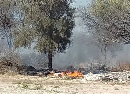 Bomberos controlan incendio en El Grasero Bomberos controlan incendio en El Grasero